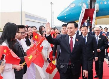 Cán bộ, nhân viên Đại sứ quán và đại diện cộng đồng người Việt Nam đón Chủ tịch Quốc hội Vương Đình Huệ tại sân bay quốc tế Bắc Kinh. (Ảnh: Nhan Sáng/TTXVN)