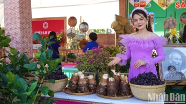 Gian hàng trưng bày sản phẩm đặc sản địa phương do hội viên hội quán trên địa bàn huyện Lấp Vò trồng. (Ảnh: HỮU NGHĨA)