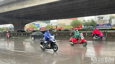 (Ảnh minh họa: Đ.T)