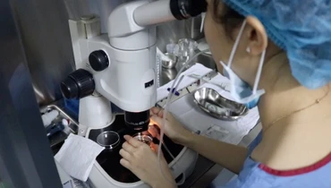 Sau khi thu nhận trứng, các bác sĩ trong Lab sẽ đánh giá trứng, tách các tế bào hạt bên ngoài để thu noãn.