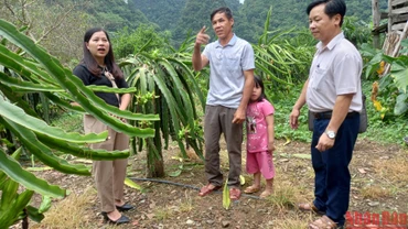 Cán bộ tín dụng chính sách kiểm tra hiệu quả vốn vay tại hộ vay vốn ở xã Quang Long, huyện Hạ Lang, tỉnh Cao Bằng.