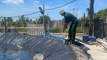 Cựu chiến binh vượt khó, làm giàu cho quê hương