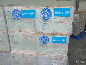 185.700 liều vaccine DTP-VGB-Hib đã về Việt Nam.