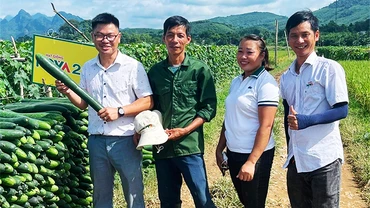 Anh Nguyễn Trung Kiên (bên trái) và bà con kiểm tra chất lượng bí xanh.