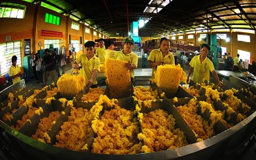 Thái Lan, Indonesia, Trung Quốc, Việt Nam và Nhật Bản là 5 thị trường lớn nhất cung cấp cao-su cho Hàn Quốc. 