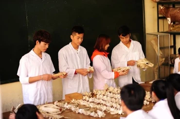 Công tác tuyển sinh và đào tạo nhân lực ngành nông lâm ngư nghiệp đang phải chứng kiến suy giảm nhanh của số lượng học sinh, sinh viên theo học. 