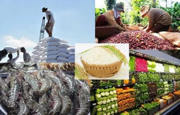Kim ngạch xuất khẩu nông lâm thủy sản tháng 7/2023 ước đạt 4,62 tỷ USD, tăng 5,3% so với cùng kỳ năm ngoái.