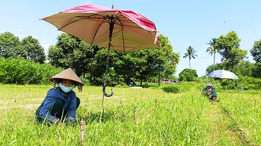 Ngành lâm nghiệp đã có những chính sách giúp lao động nữ được hưởng các chế độ tốt hơn so trước đây. 