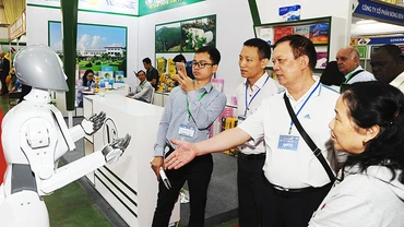 Nhiều doanh nghiệp đang hướng tới mô hình phát triển kinh tế xanh. Ảnh: HẢI NAM