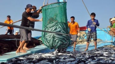 Từ ngày 10-18/10/2023, Đoàn thanh tra EC lần 4 sẽ sang Việt Nam kiểm tra kết quả triển khai các khuyến nghị của Ủy ban châu Âu (EC) về chống khai thác IUU.