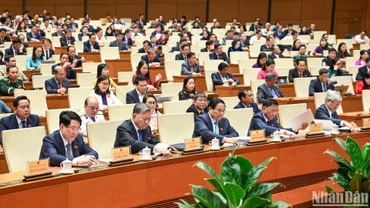Chiều 30/11, với 443/454 đại biểu có mặt tán thành, Quốc hội đã thông qua nghị quyết chủ trương đầu tư dự án đường sắt tốc độ cao trên trục bắc-nam. (ẢNH: DUY LINH)
