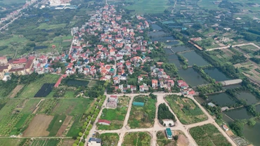 Ảnh minh họa.