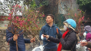 [Ảnh] Chợ hoa lớn nhất Hà Nội nhộn nhịp ngày 29 Tết