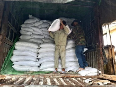 Xuất cấp gạo. (Ảnh minh họa. Nguồn: TTXVN)