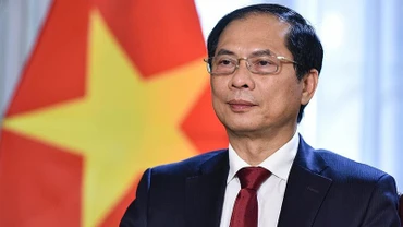 Bộ trưởng Ngoại giao Bùi Thanh Sơn.