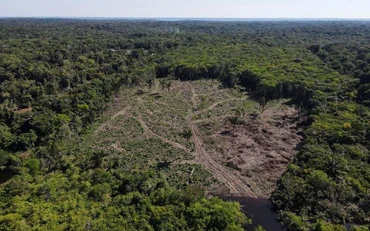 Một khu vực rừng Amazon bị tàn phá ở bang Amazonas, Brazil. (Ảnh: Reuters)