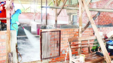  Cán bộ thú y tỉnh Đắk Lắk phun hóa chất khử trùng, tiêu độc chuồng trại chăn nuôi lợn.