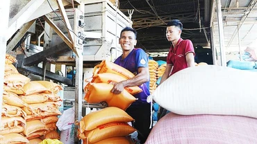 Việt Nam hiện đang xuất khẩu gạo sang 29 nước và vùng lãnh thổ. Ảnh: NAM ANH