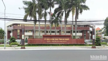 Ủy ban nhân dân tỉnh thành lập Ban chỉ đạo tập trung thực hiện kết luận của Thanh tra Chính phủ