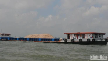 Sà lan vận chuyển cát trên sông Hậu thuộc địa bàn tỉnh An Giang.