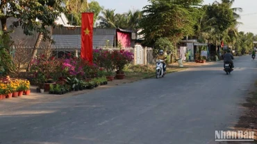 Một góc vùng quê thị xã Tân Châu.
