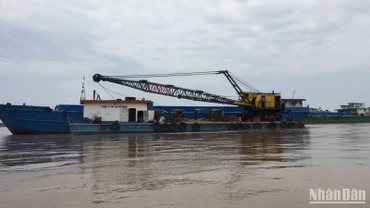 Một mỏ cát trên sông Tiền thuộc địa phận tỉnh An Giang.