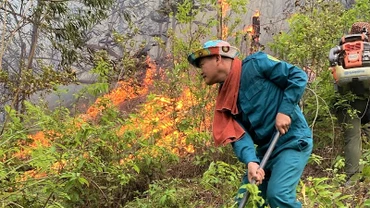 Ngọn lửa bùng phát trở lại ở khu vực rừng thuộc xóm Tân Phong, xã Thanh Khai, huyện Thanh Chương vào sáng nay.