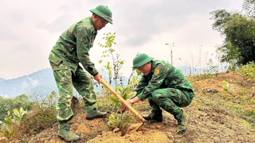Tết trồng cây năm nay được Đồn Biên phòng Tam Quang phát động vào ngày 4/2. Hàng trăm cây keo và nhiều loại cây khác đã được cán bộ, chiến sĩ đơn vị trồng ở các khu vực đồi trống, đất dốc…