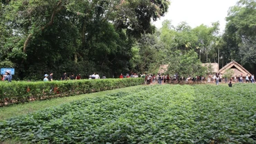 Hàng nghìn người dân, du khách đã về thăm khu Di tích lịch sử quốc gia đặc biệt Kim Liên - Quê hương của Chủ tịch Hồ Chí Minh.