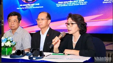 Các đại biểu thảo luận tại hội thảo.