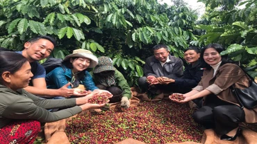 Cà-phê là một trong những nông sản Việt Nam xuất khẩu nhiều vào thị trường ASEAN.