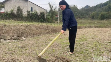 Khu cánh đồng ở Nà Tuồng, xã Xuân Dương (Na Rì) đang chờ nước mưa để sản xuất. (Ảnh: TUẤN SƠN)