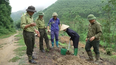 Cán bộ kiểm lâm hướng dẫn kỹ thuật trồng rừng cho người dân huyện Sơn Dương, tỉnh Tuyên Quang.