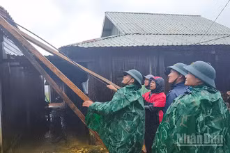 Các lực lượng chức năng hỗ trợ người dân xã Hùng Sơn lợp lại mái nhà bị tốc.