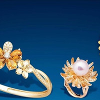 Trang sức vàng PNJ