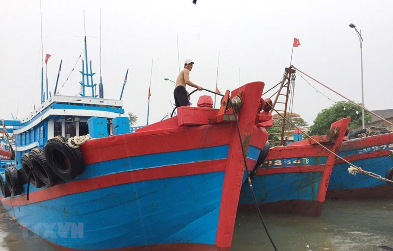 Ảnh minh họa. (Nguồn: TTXVN)