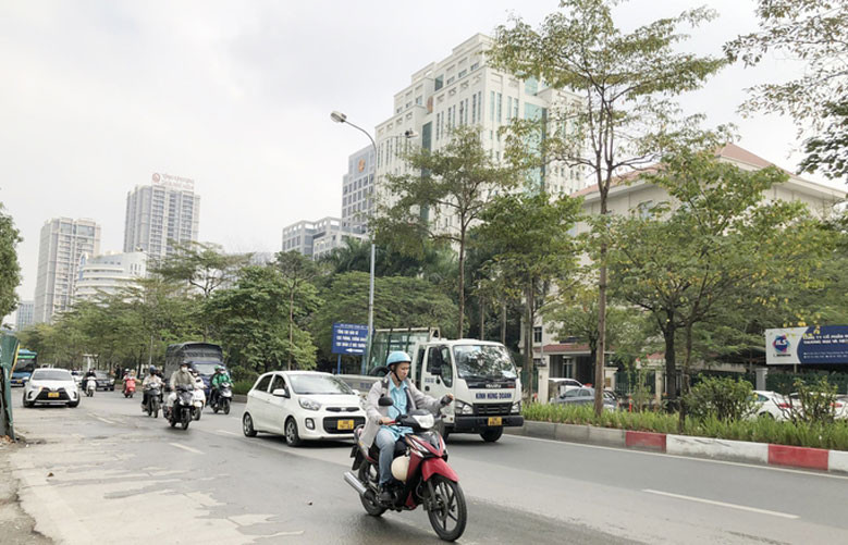 Ảnh minh họa.