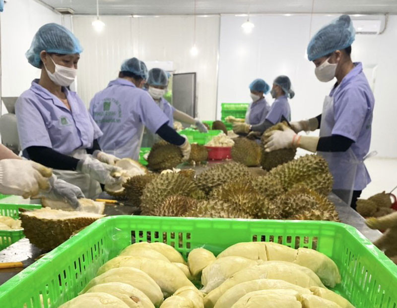 Tỉnh Đắk Nông đang có nhiều cơ chế, chính sách hỗ trợ doanh nghiệp tư nhân hoạt động thuận lợi, kinh doanh hiệu quả.