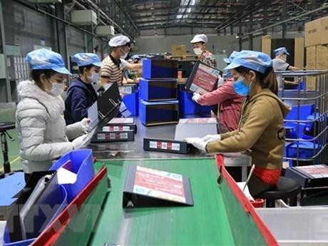 Công nhân lao động làm việc tại Công ty TNHH Deli Việt Nam, Khu công nghiệp Yên Phong, tỉnh Bắc Ninh. (Ảnh: Thanh Thương/TTXVN)