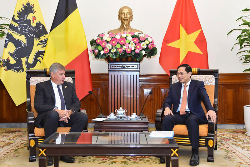 Bộ trưởng Ngoại giao Bùi Thanh Sơn tiếp Bộ trưởng-Thủ hiến vùng Flanders, Vương quốc Bỉ Jan Jambon.