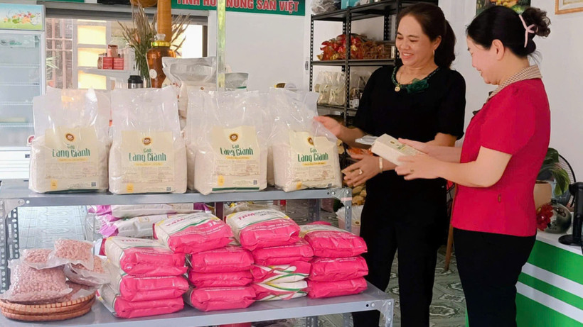 Giống lúa làng Giành đã được công nhận sản phẩm OCOP 3 sao.