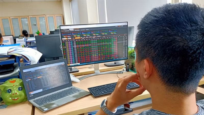 (Ảnh minh họa: TTXVN)