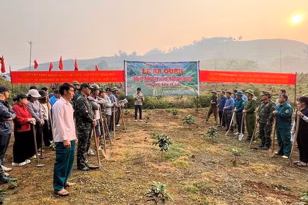 Cán bộ, nhân dân xã Pú Nhung hưởng ứng lễ phát động ra quân đào hố trồng cây cà-phê, mắc-ca. 