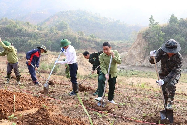 Các đồng chí lãnh đạo cùng nhân dân xã Na Son hưởng ứng Lễ phát động đào hố trồng cây mắc-ca, cà-phê trên địa bàn.
