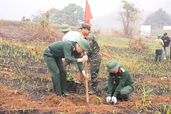 Cán bộ, chiến sĩ lực lượng vũ trang tỉnh Điện Biên cùng cán bộ, nhân dân xã Mường Nhà ra quân đào hố trồng cây cà-phê, mắc-ca trong ngày 2/4.