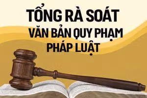 (Ảnh minh họa)