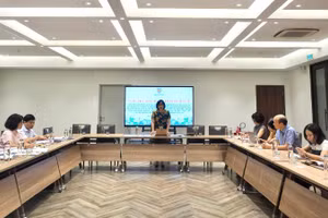 Thứ trưởng Tư pháp Đặng Hoàng Oanh phát biểu tại cuộc họp. (Ảnh: TL)
