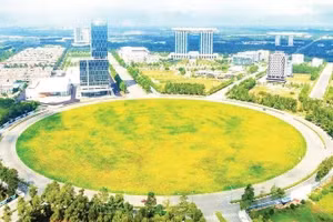 Ảnh minh họa. Nguồn: ND