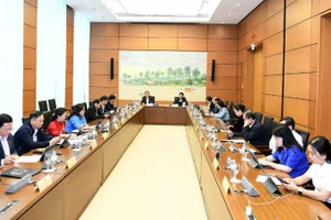 Đại biểu Quốc hội thảo luận tại tổ về dự thảo Nghị quyết của Quốc hội về cơ chế, chính sách phát triển năng lượng quốc gia giai đoạn 2026-2030. (Ảnh: DUY LINH)