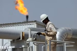 Công nhân làm việc tại một nhà máy lọc dầu. (Ảnh: THX/TTXVN)